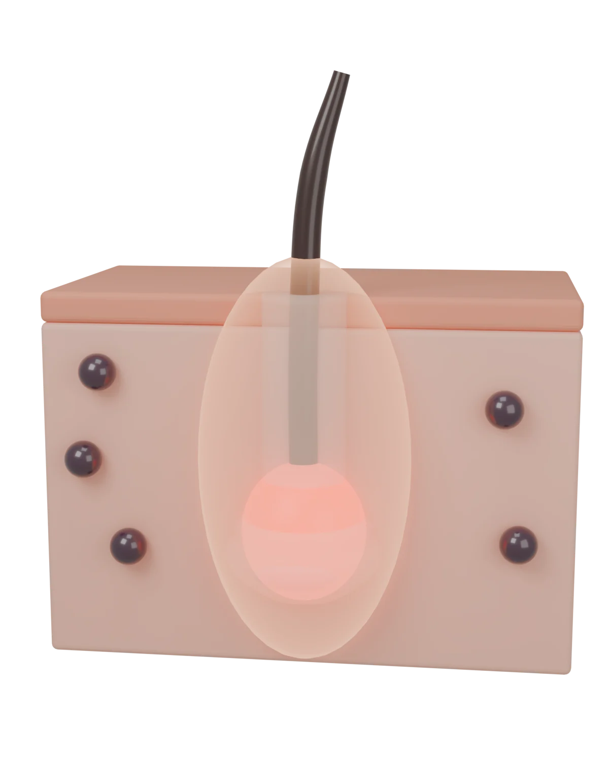 Before 40: estrogen guards the root and keeps DHT away, thick hair